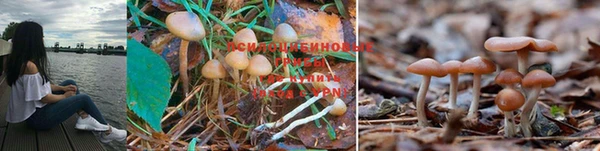 MDMA Premium VHQ Приозерск