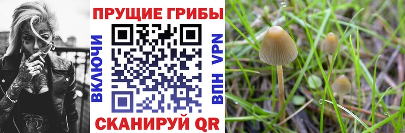 Галлюциногенные грибы мицелий  ОМГ ОМГ ССЫЛКА  Арск 